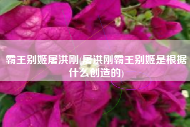 霸王别姬屠洪刚(屠洪刚霸王别姬是根据什么创造的)