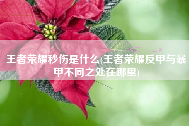 王者荣耀秒伤是什么(王者荣耀反甲与暴甲不同之处在哪里)