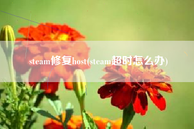 steam修复host(steam超时怎么办)