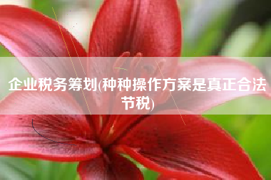 企业税务筹划(种种操作方案是真正合法节税)