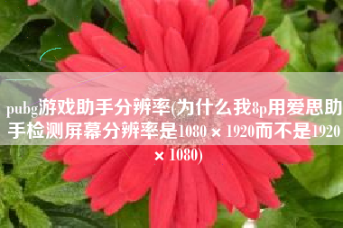 pubg游戏助手分辨率(为什么我8p用爱思助手检测屏幕分辨率是1080×1920而不是1920×1080)