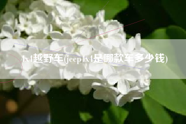 4x4越野车(jeep4x4是哪款车多少钱)