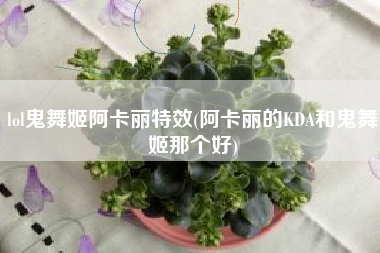 lol鬼舞姬阿卡丽特效(阿卡丽的KDA和鬼舞姬那个好)