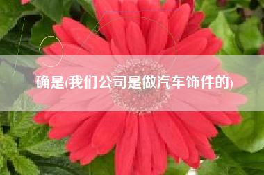 确是(我们公司是做汽车饰件的)