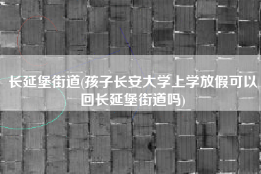 长延堡街道(孩子长安大学上学放假可以回长延堡街道吗)