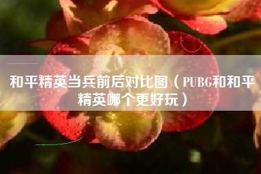 和平精英当兵前后对比图（PUBG和和平精英哪个更好玩）