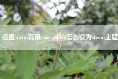 设置steam背景(screenplay怎么设为steam主题)