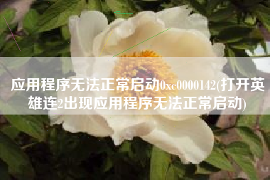 应用程序无法正常启动0xc0000142(打开英雄连2出现应用程序无法正常启动)