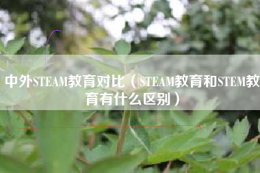 中外STEAM教育对比（STEAM教育和STEM教育有什么区别）