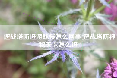 逆战塔防进游戏慢怎么回事(逆战塔防神秘关卡怎么进)