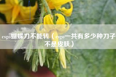 csgo蝴蝶刀不能转（csgo一共有多少种刀子不是皮肤）