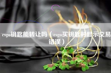 csgo钥匙能转让吗（csgo买钥匙时显示交易错误）