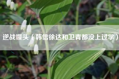 逆战馒头（韩信徐达和卫青都没上过学）