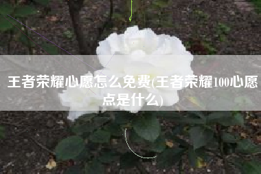 王者荣耀心愿怎么免费(王者荣耀100心愿点是什么)