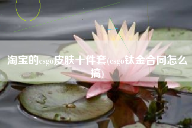 淘宝的csgo皮肤十件套(csgo钛金合同怎么搞)