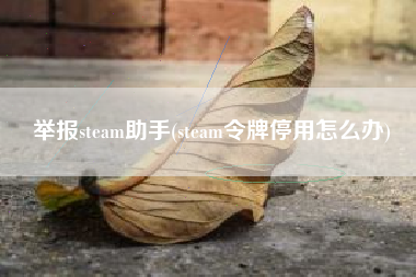 举报steam助手(steam令牌停用怎么办)