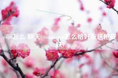 csgo怎么 聊天(steamcsgo怎么给好友送枪皮肤)