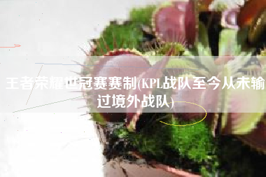 王者荣耀世冠赛赛制(KPL战队至今从未输过境外战队)