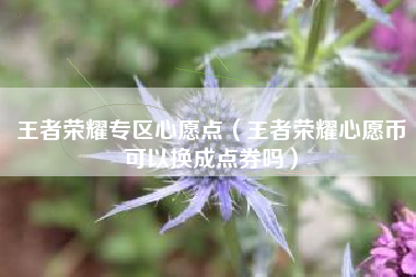 王者荣耀专区心愿点（王者荣耀心愿币可以换成点券吗）