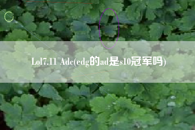 Lol7.11 Adc(edg的ad是s10冠军吗)