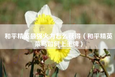 和平精英最强火力怎么获得（和平精英菜鸟如何上王牌）