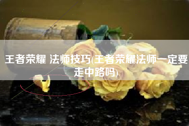 王者荣耀 法师技巧(王者荣耀法师一定要走中路吗)