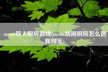 steam双人厨房游戏(steam胡闹厨房怎么远程同乐)