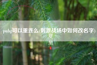 pubg可以重连么(刺激战场中如何改名字)