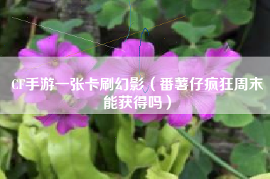 CF手游一张卡刷幻影（番薯仔疯狂周末能获得吗）