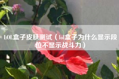 LOL盒子皮肤测试（lol盒子为什么显示段位不显示战斗力）