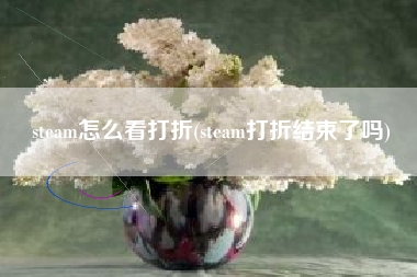 steam怎么看打折(steam打折结束了吗)