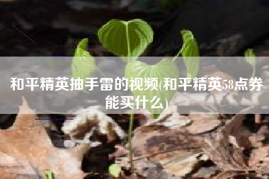 和平精英抽手雷的视频(和平精英58点券能买什么)