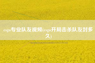 csgo专业队友视频(csgo开局击杀队友封多久)