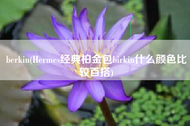 berkin(Hermes经典柏金包birkin什么颜色比较百搭)