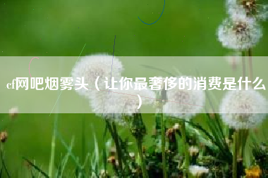 cf网吧烟雾头（让你最奢侈的消费是什么）