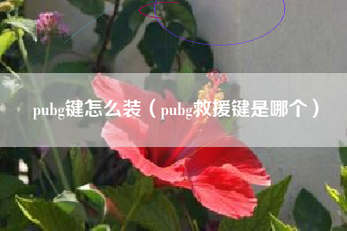 pubg键怎么装（pubg救援键是哪个）