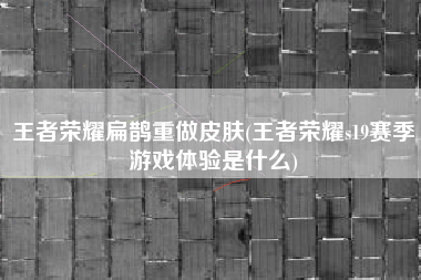 王者荣耀扁鹊重做皮肤(王者荣耀s19赛季游戏体验是什么)