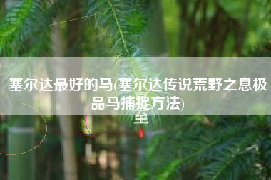 塞尔达最好的马(塞尔达传说荒野之息极品马捕捉方法)