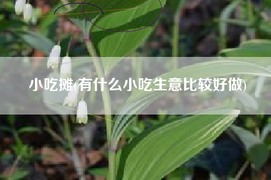 小吃摊(有什么小吃生意比较好做)