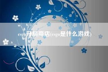 csgo开局商店(csgo是什么游戏)