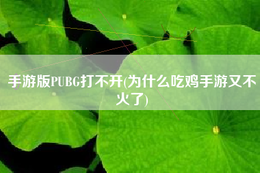 手游版PUBG打不开(为什么吃鸡手游又不火了)