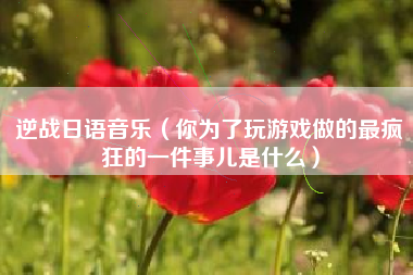 逆战日语音乐（你为了玩游戏做的最疯狂的一件事儿是什么）