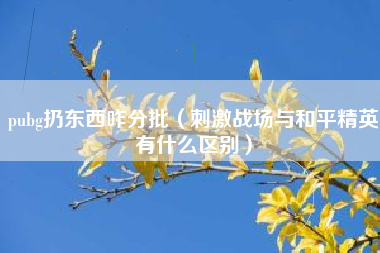 pubg扔东西咋分批（刺激战场与和平精英有什么区别）