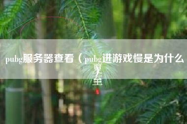 pubg服务器查看（pubg进游戏慢是为什么）