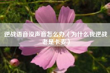 逆战语音没声音怎么办（为什么我逆战老是卡麦）