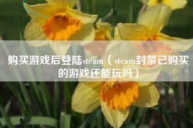 购买游戏后登陆steam（steam封禁已购买的游戏还能玩吗）