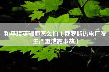 和平精英驯鹿怎么拍（俄罗斯热电厂发生严重泄露事故）