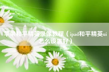 苹果和平精英录像教程（ipad和平精英ui怎么设置好）