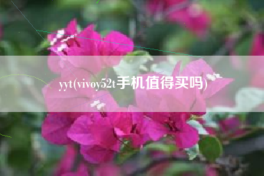 yyt(vivoy52t手机值得买吗)