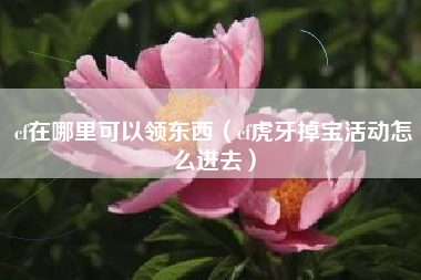 cf在哪里可以领东西（cf虎牙掉宝活动怎么进去）